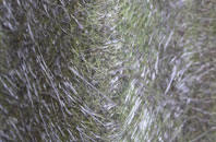 Kilpeck fibreglass roof work